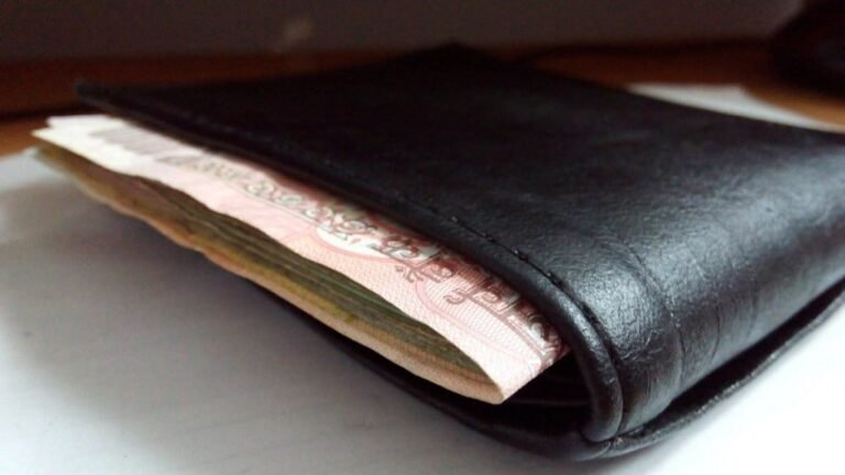 monthly-income