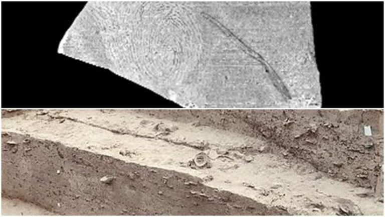 Excavation